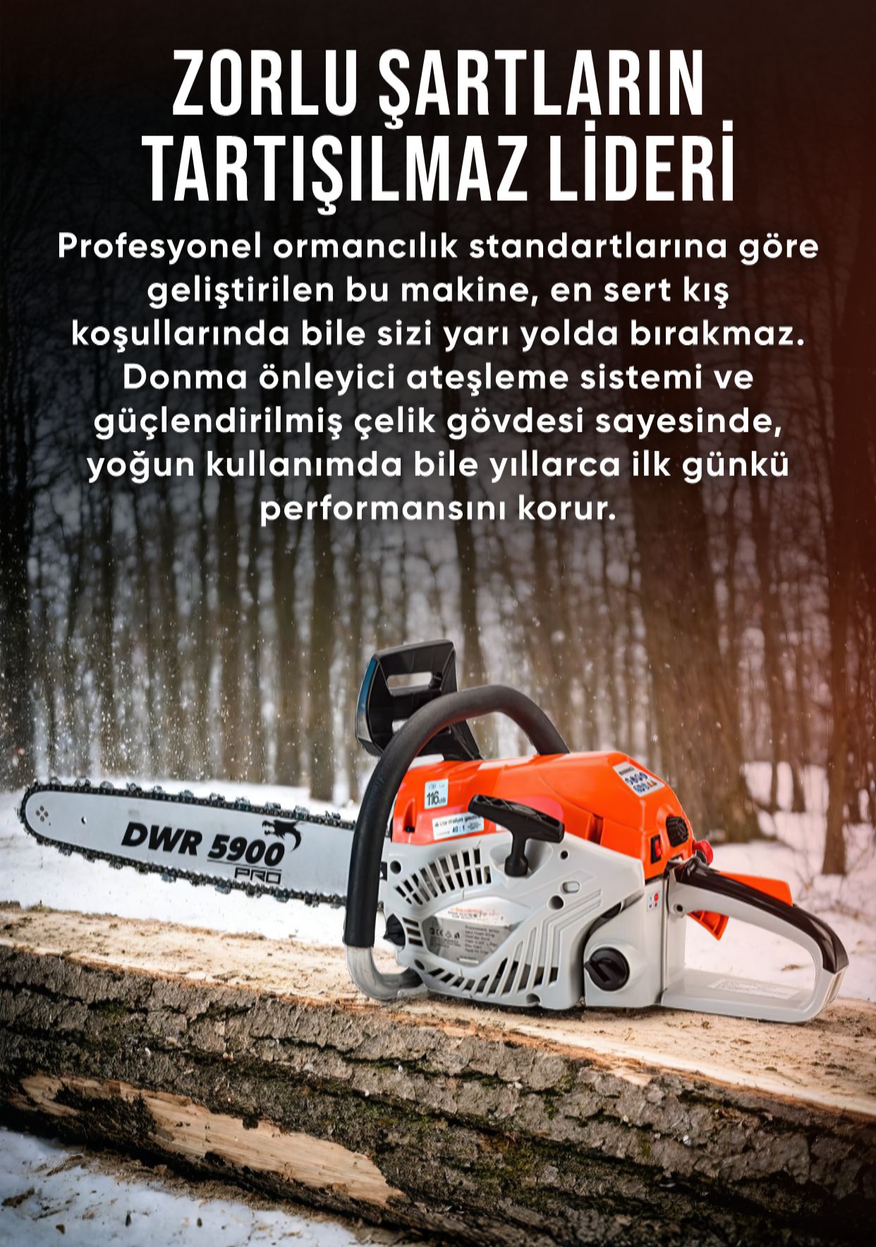 Promotional Imasge 1